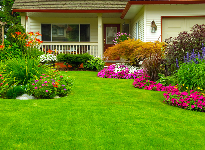 Lawn Services Near Me **Call 281.475.8895** Maintenance Care - Lawn Care  Spring
